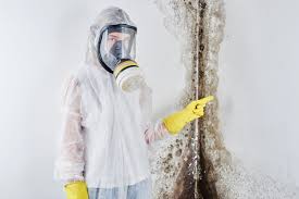 Mold Remediation for Vacation Homes in Corona De Tucson, AZ